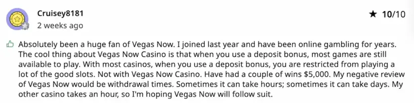 Vegasnow long-term review example