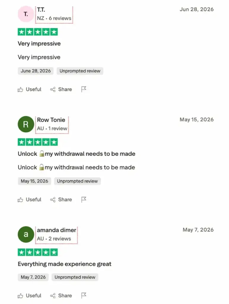 Vegasnow five-star review example
